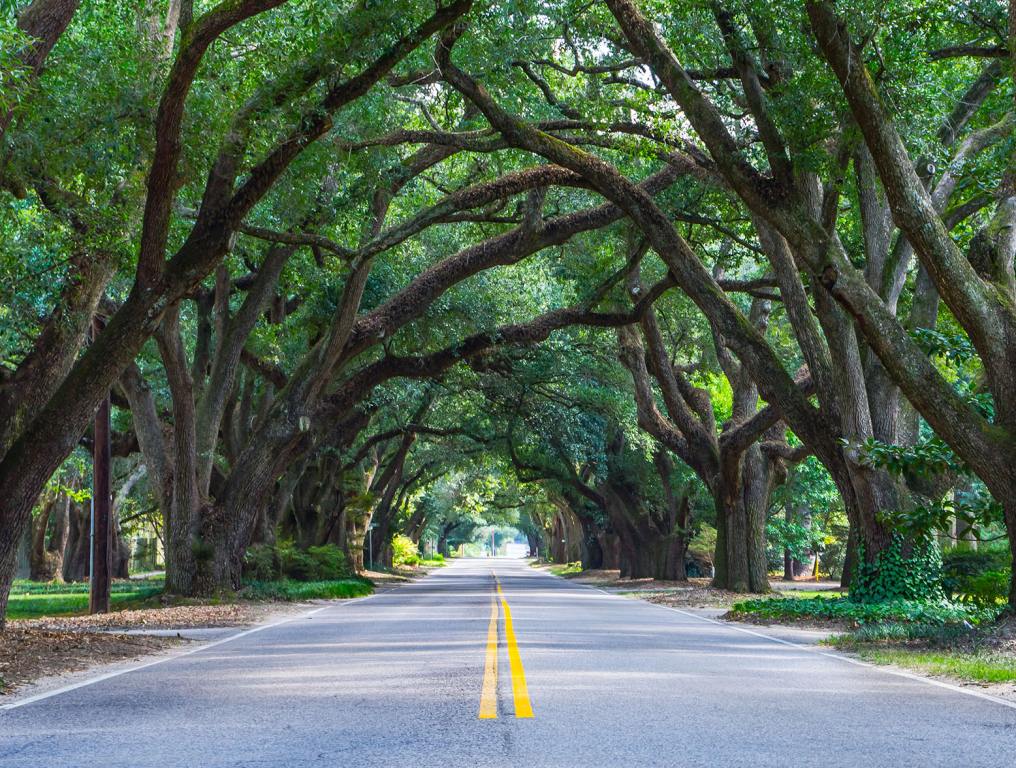 Aiken - One of the Best Small Towns